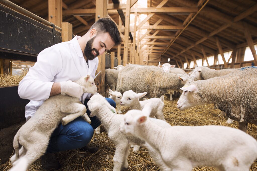 Productos Veterinarios para animales