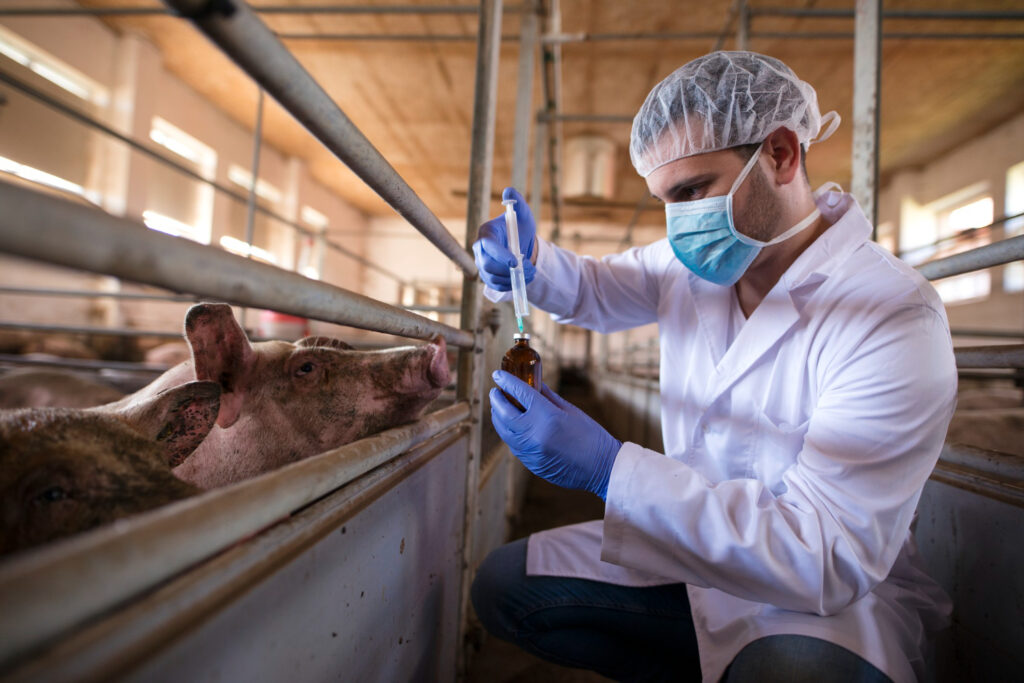Los productos zoosanitarios y la bioseguridad resultan claves para mantener la salud en la granja