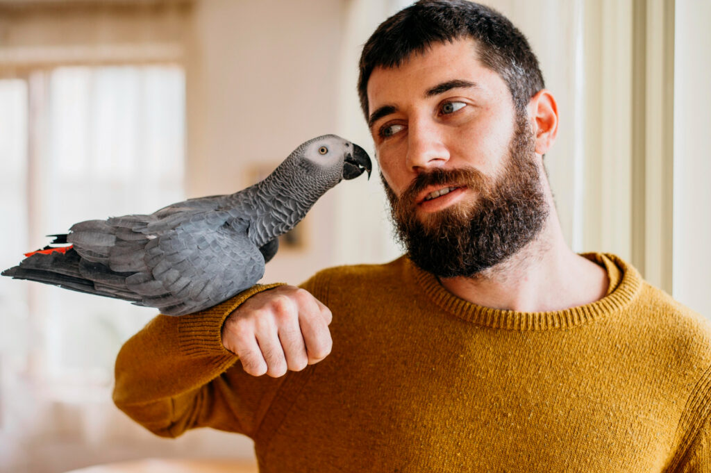 El cuidado de aves en el hogar incluye proporcionar un hábitat seguro