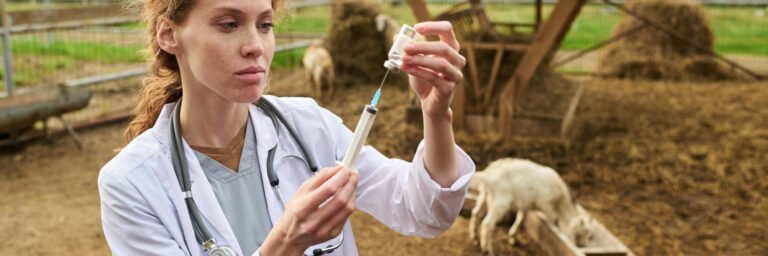 Medicamentos veterinarios y productos zoosanitarios
