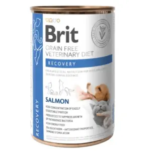 Brit Dog + Cat Can Recovery bandeja 6x200 g