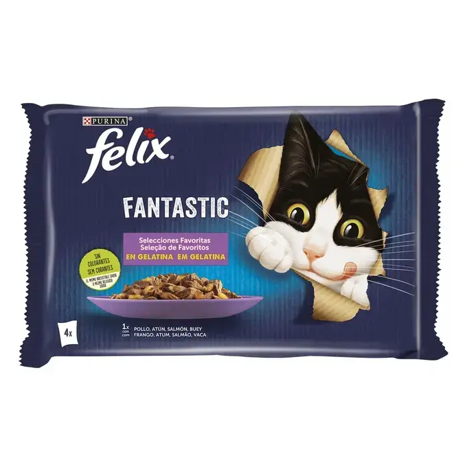 FELIX FANTASTIC Selecciones Favoritas 6(12x85g)