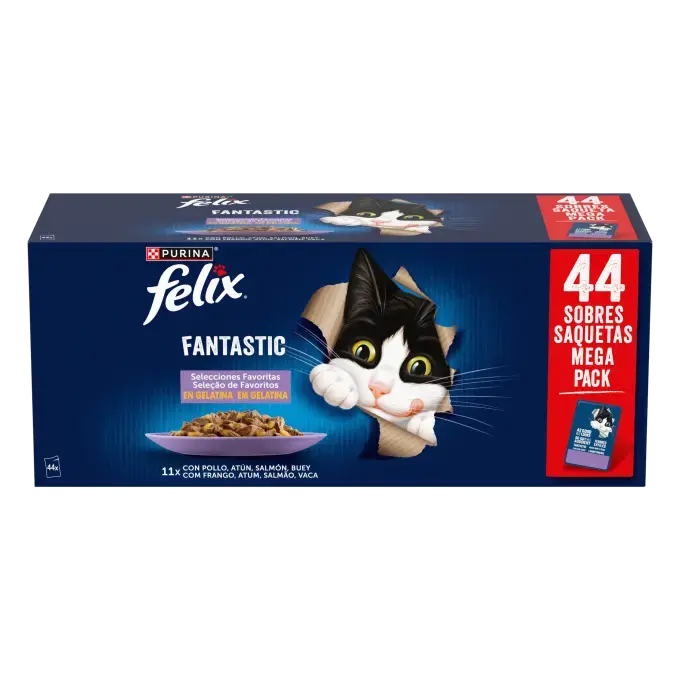 FELIX Fantastic Pack Surtido 44*85