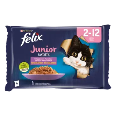 FELIX FANTASTIC JUNIOR Grill en Gelatina 12(4x85g)