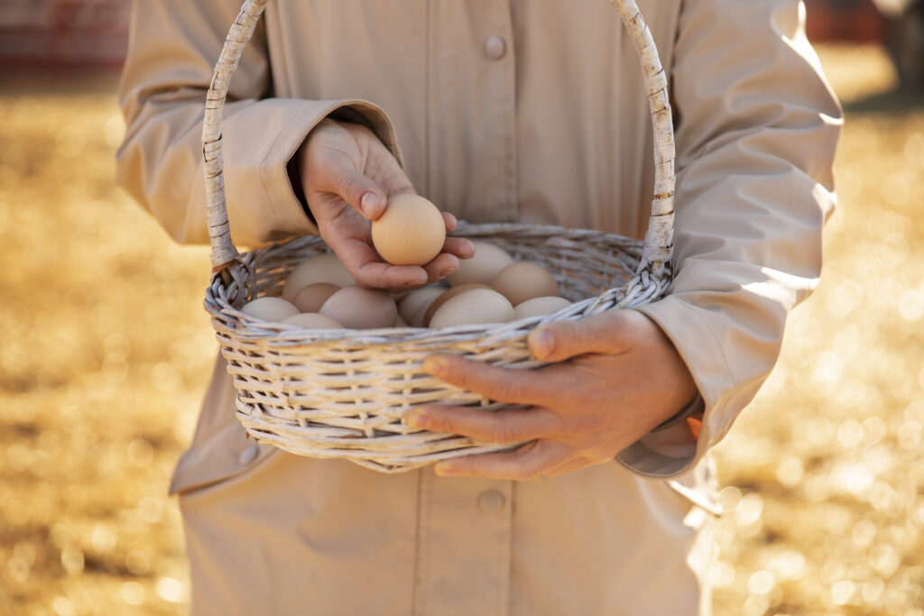 huevos ecologicos granja